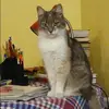 Отзыв от Маргарита Аксенова